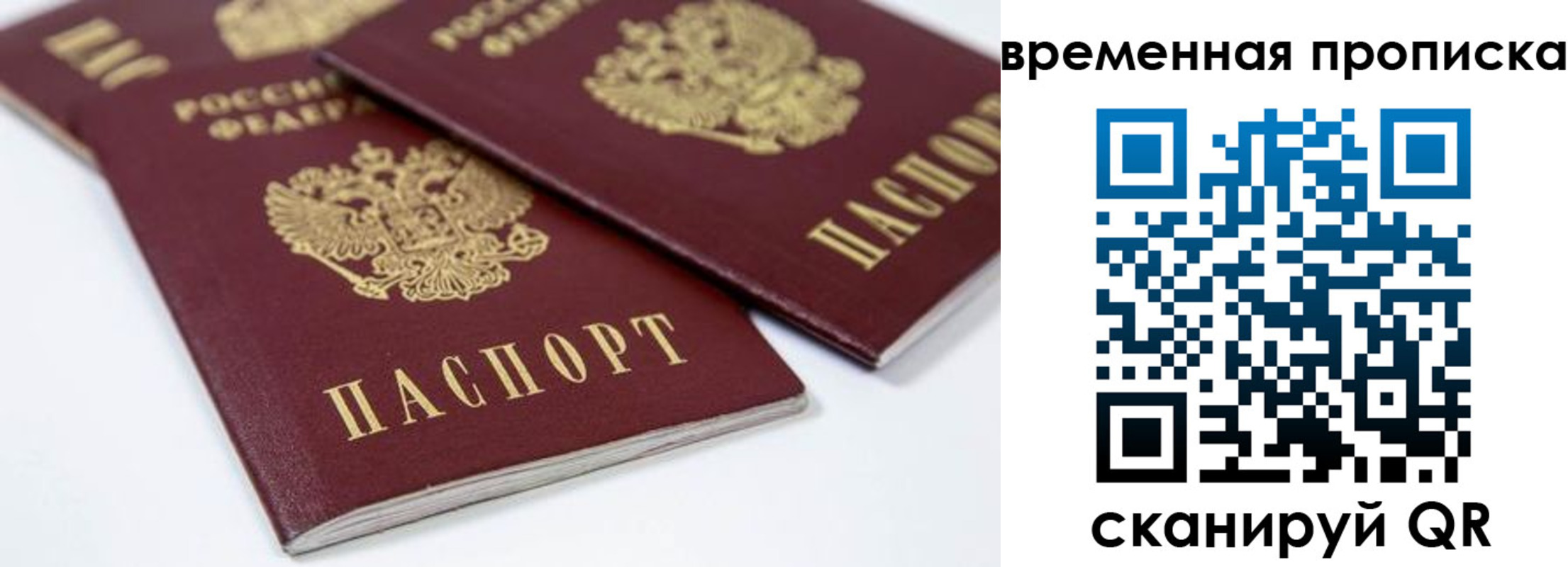 прописка для школы в Ярославле